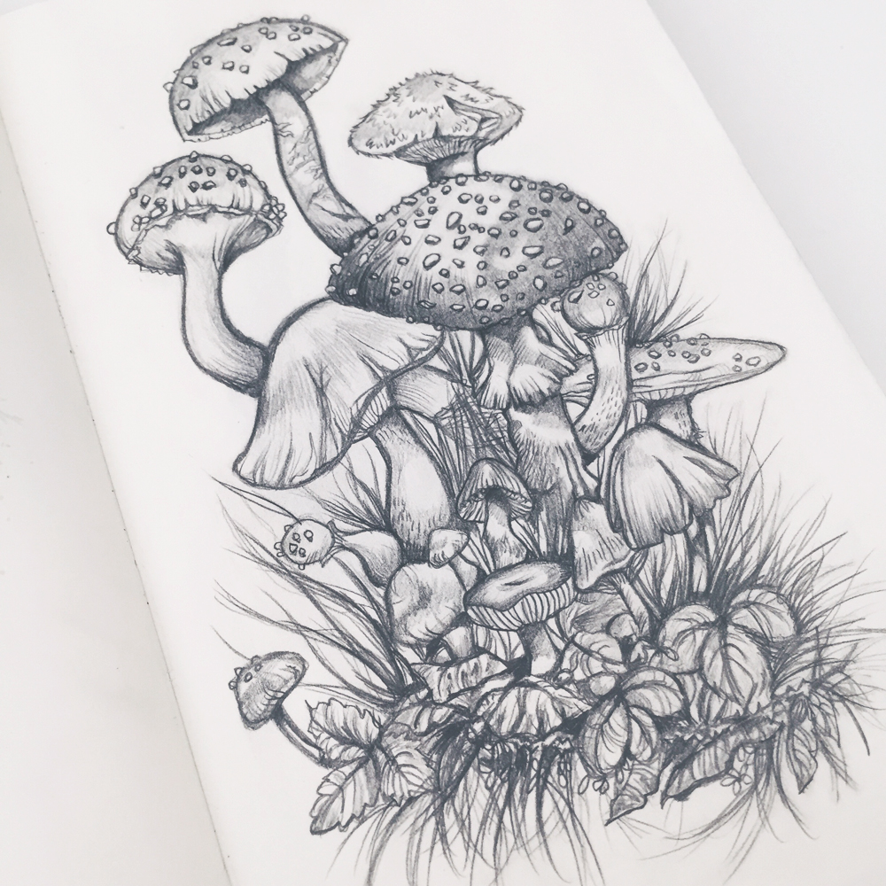 Mushroom Cluster Honey Aimée
